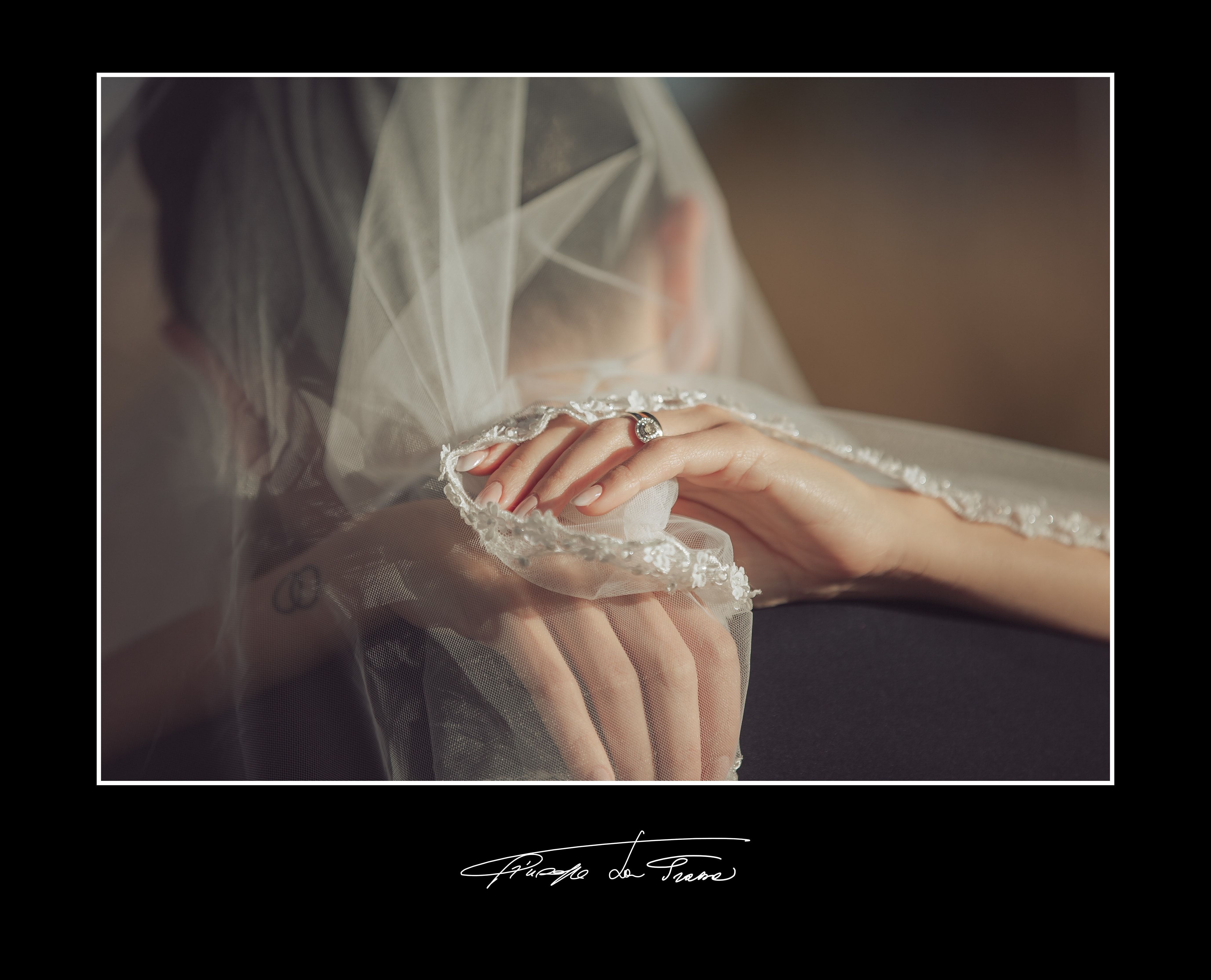 Album 107 lupo giudice vincenzo giulia