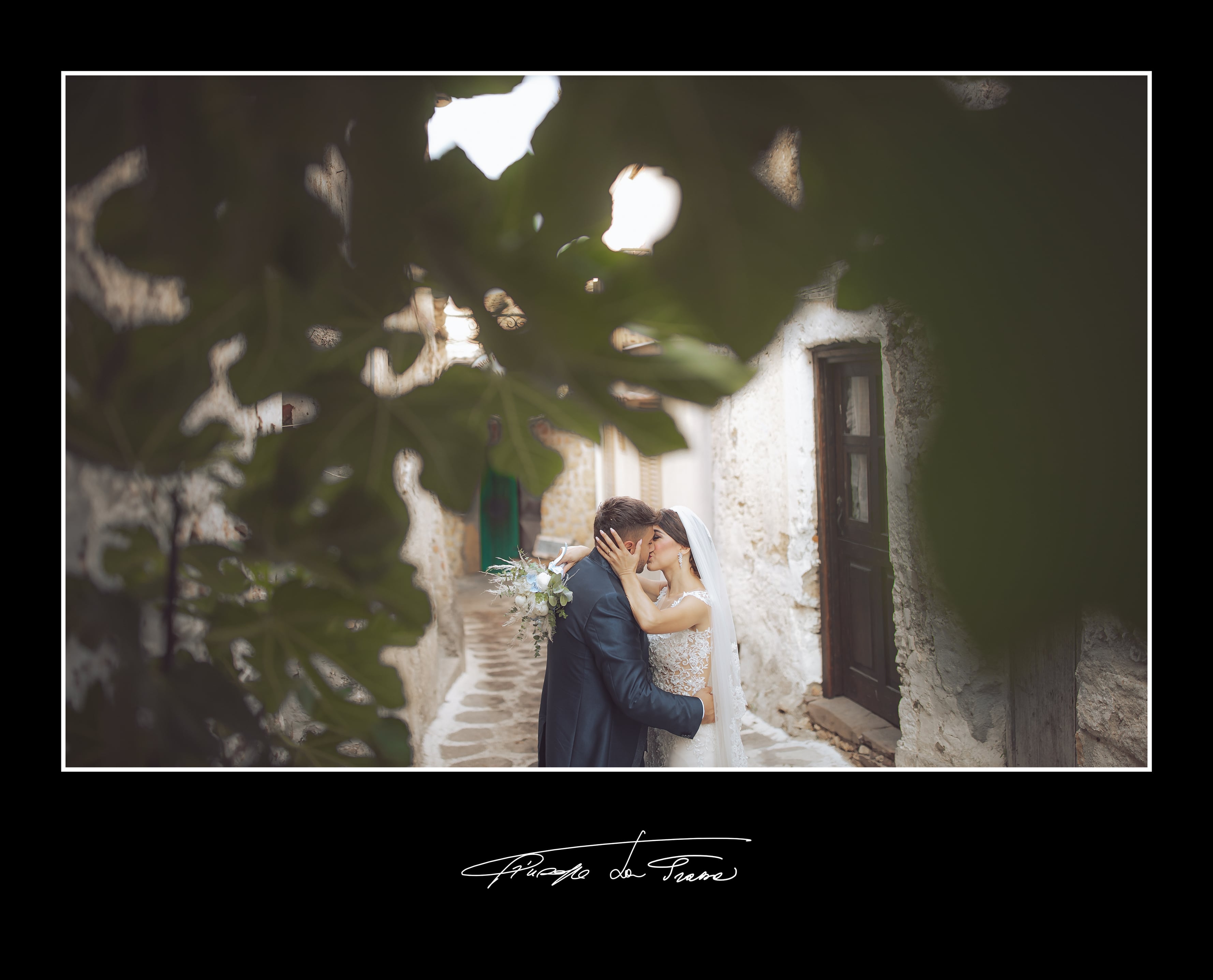 Album 195 basile prinzivallii fabio valentina