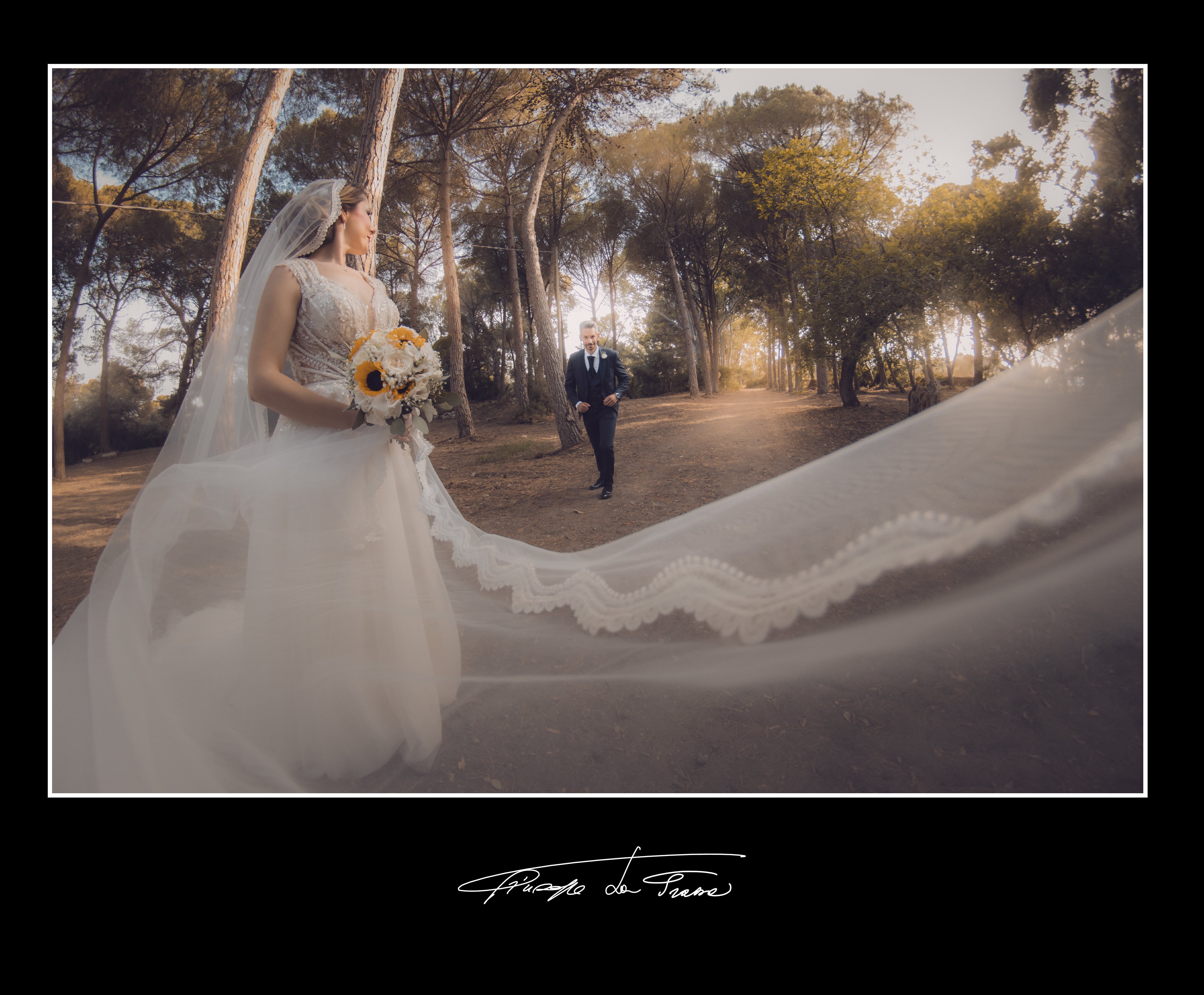 Album 201b cataldo firenze giuseppe maria luisa