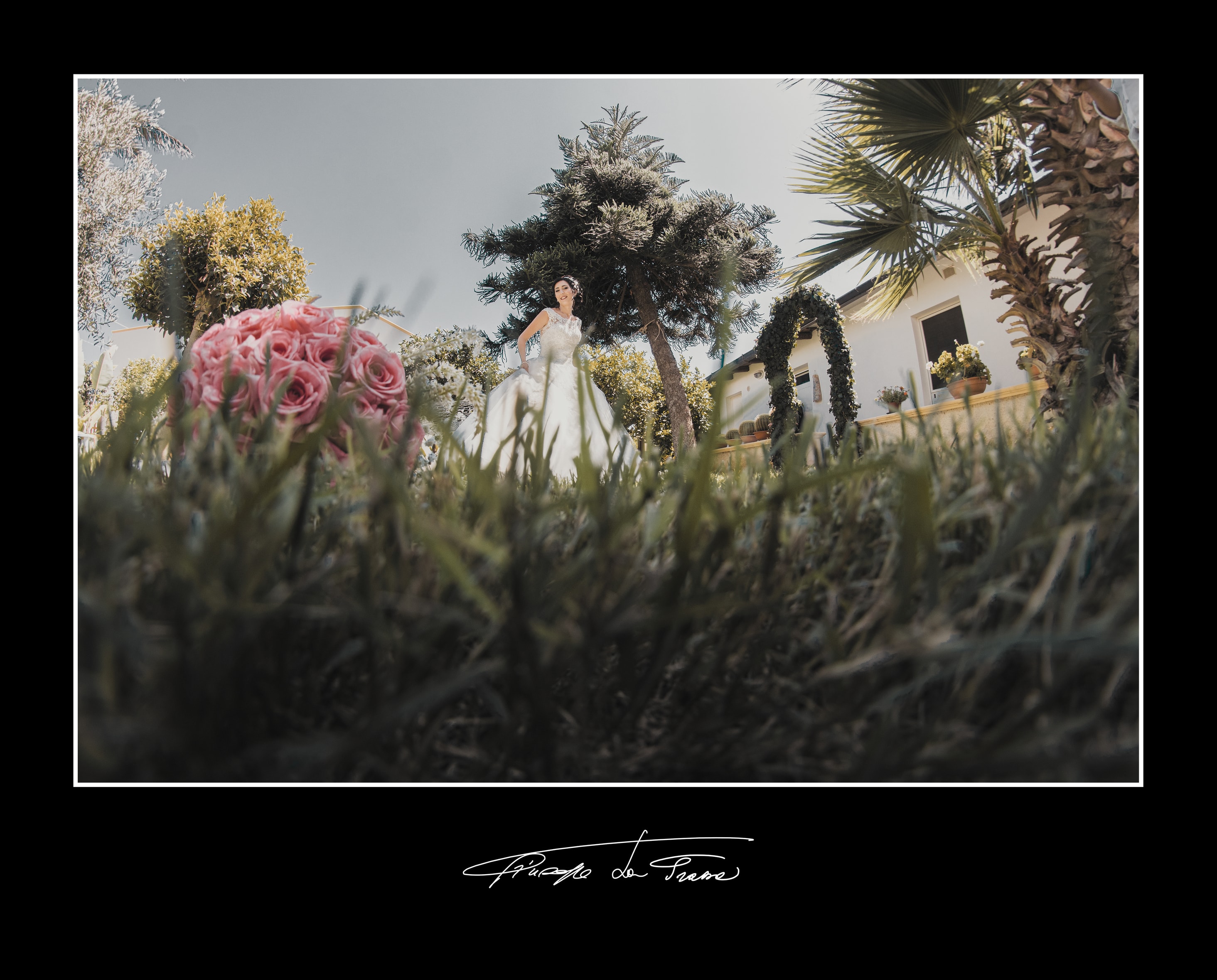 Album 206 fulgo biondo francesco veronica