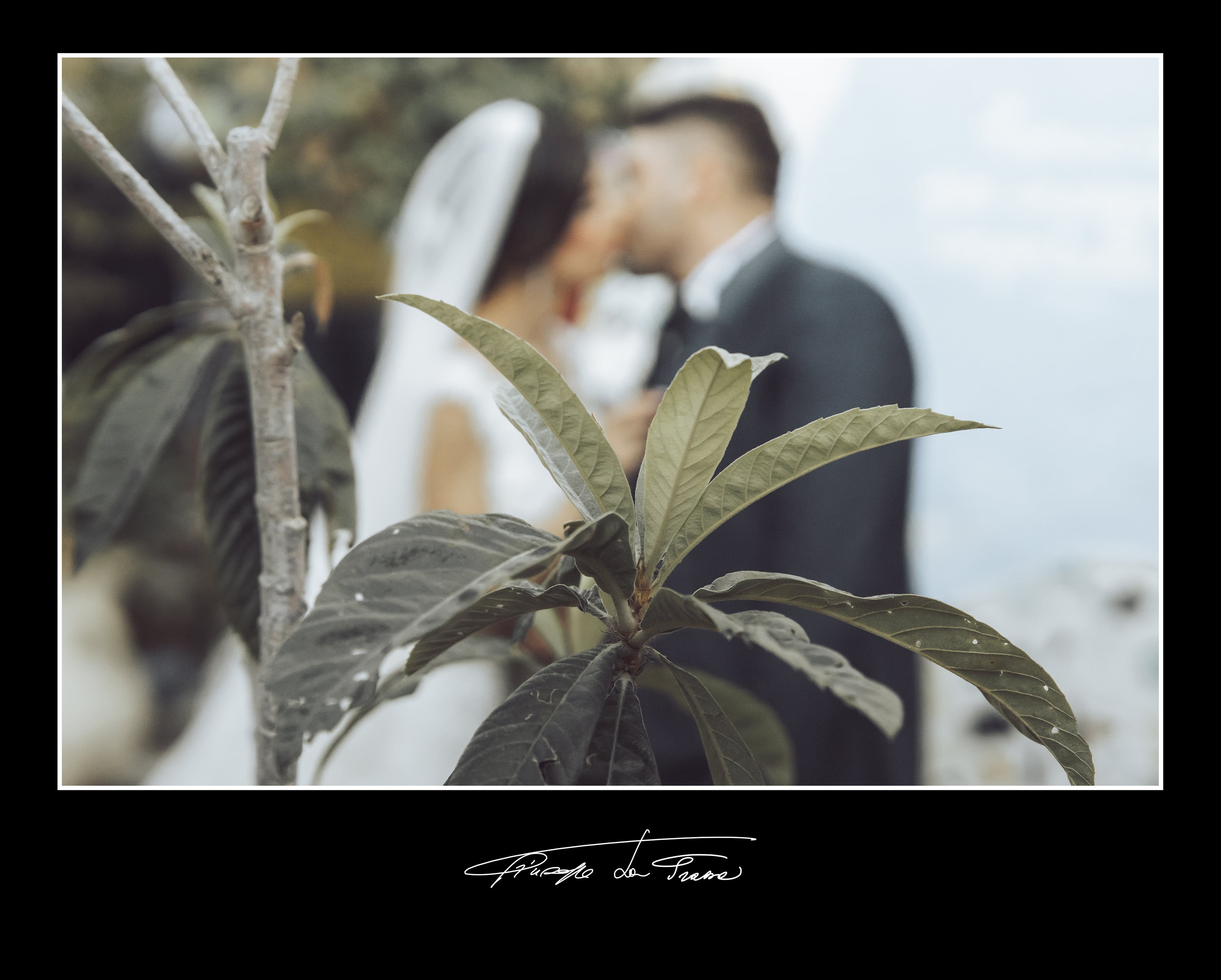 Album 216 basile prinzivallii fabio valentina