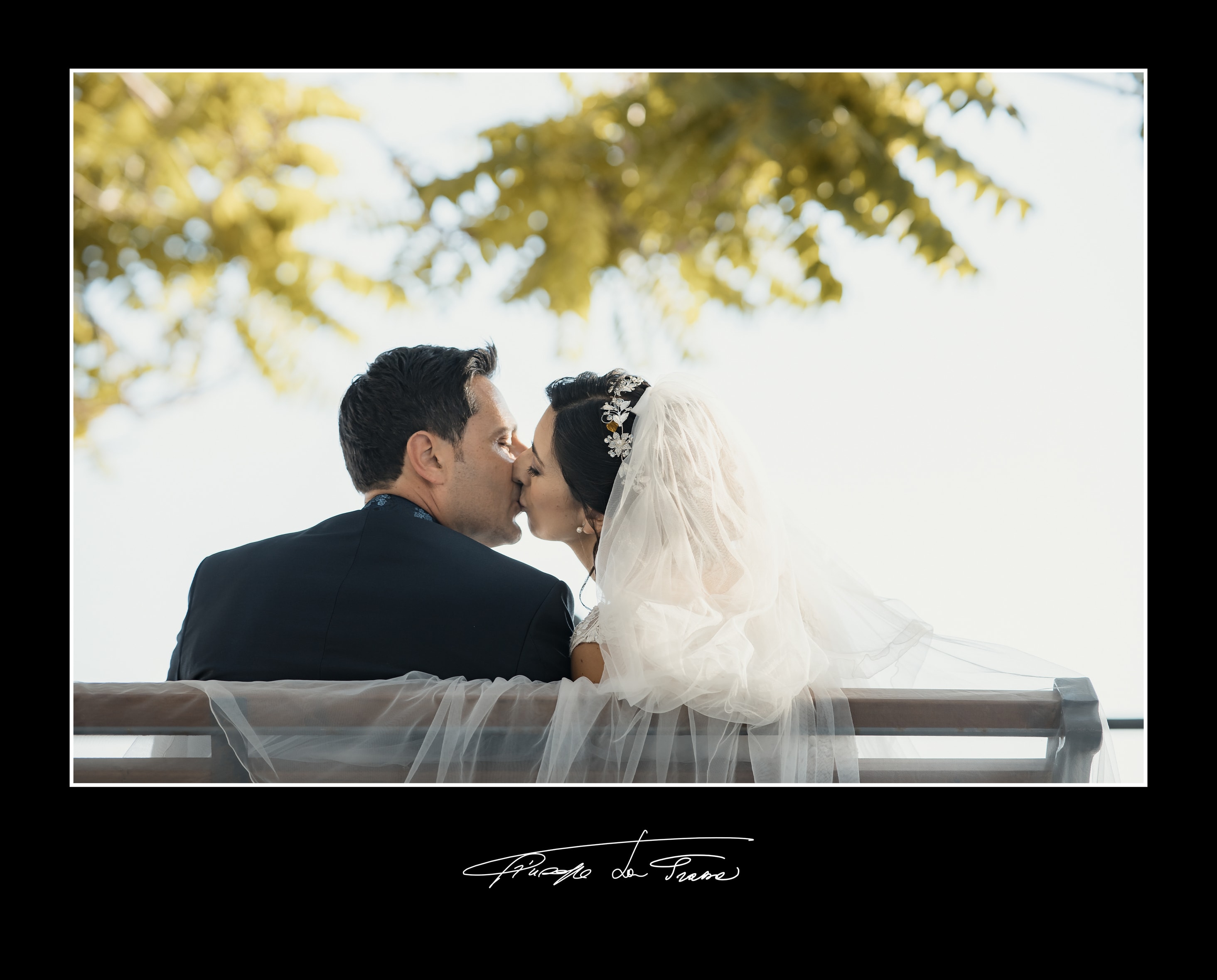 Album 231 fulgo biondo francesco veronica