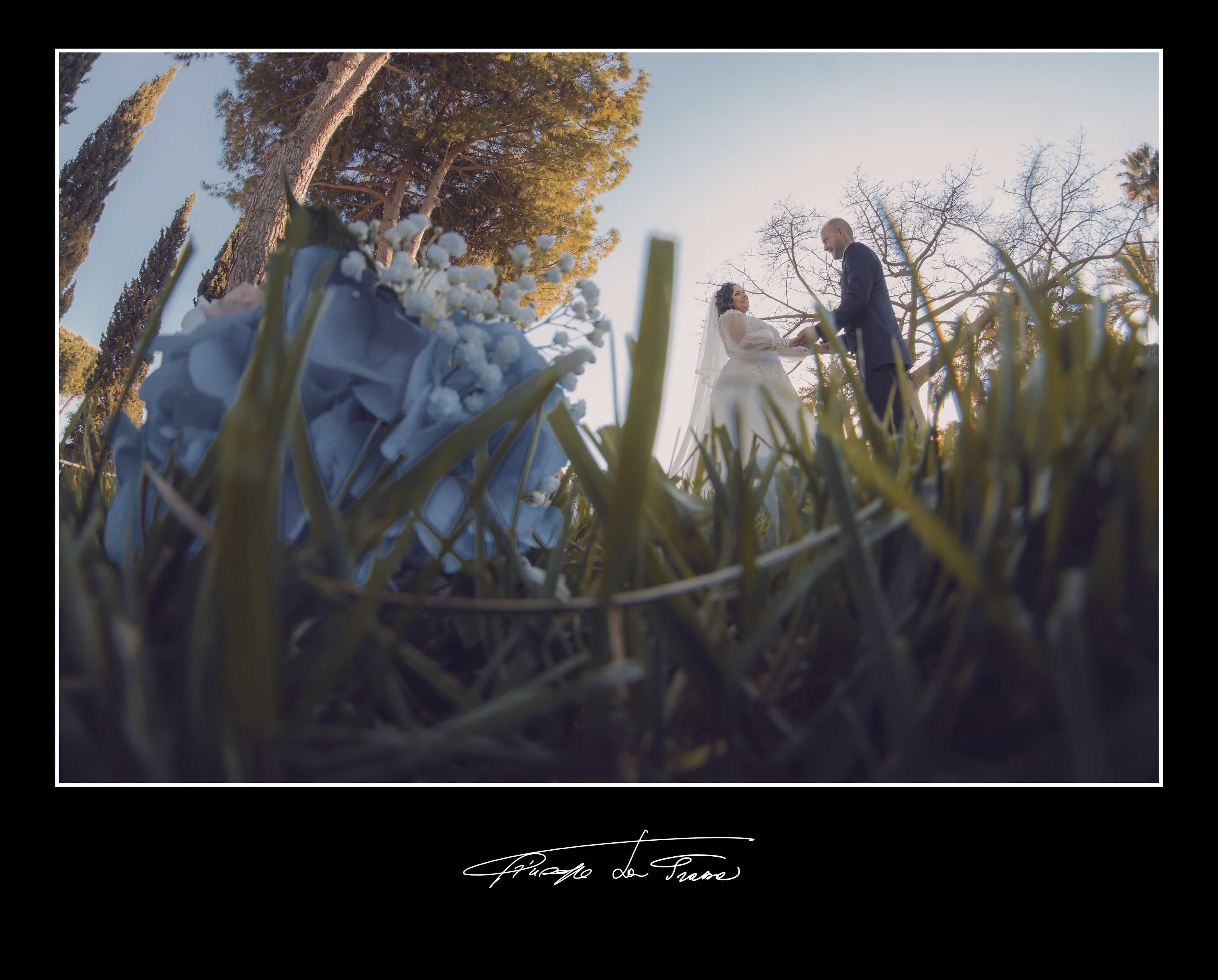 Album 466 dilluvio marchese 14 5 22 6 giuseppe chiara